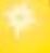 Yellow/Yellow LED