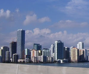 Miami printed t shirts
