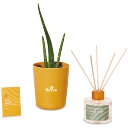 Modern Sprout® Find Balance Take Care Custom Gift Set - Aloe