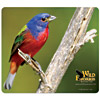 Promotional Vynex ® Hard Surface Mousepad - Rectangle - Thin with Logo