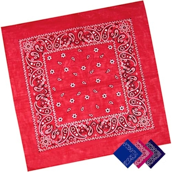 Promotional Prominently display your logo on this classic paisley bandanna.