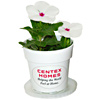 Promotional Flowering Gro Kits - Small with Logo