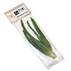 Promotional Live Aloe Vera Plant in a Bag - 6" with Logo
