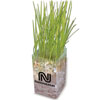 Promotional Wheatgrass Grow Kit with Logo