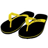 Basic Flip Flops