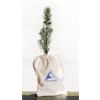Promotional Eco-Friendly Growable Blue Spruce Tree - 8" with Logo