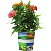 Promotional Grow Cups - Eco with Logo