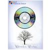 Promotional Holiday Fleur CD Ornament with Logo