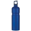 Promotional Stainless Steel Sport Bottle w/ Push/Pull Lid - 25 oz. with Logo