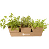 Promotional Bamboo Planter Trio Blossom Kit with Logo