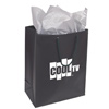 Promotional Gift Bag & Tissue Paper Set - 10.5? w x 14? h x 5.5? d with Logo