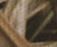 Shadowgrass Blades