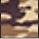 Tan Camo