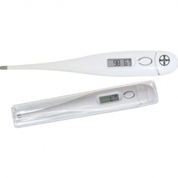 Promotional Electronic Personal Thermometer