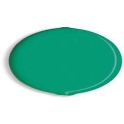 Green Promotional Coin Purse