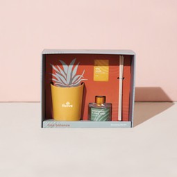 Box Modern Sprout&#174; Find Balance Take Care Custom Gift Set - Aloe
