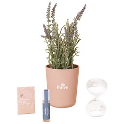 Modern Sprout® Seek Peace Take Care Promo Gift Set - Lavender