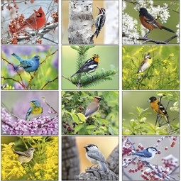 Month - Birds - 13 Month Appointment Custom Calendar