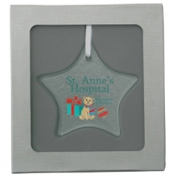 Gift Box - Hammered Glass Custom Ornaments - Star