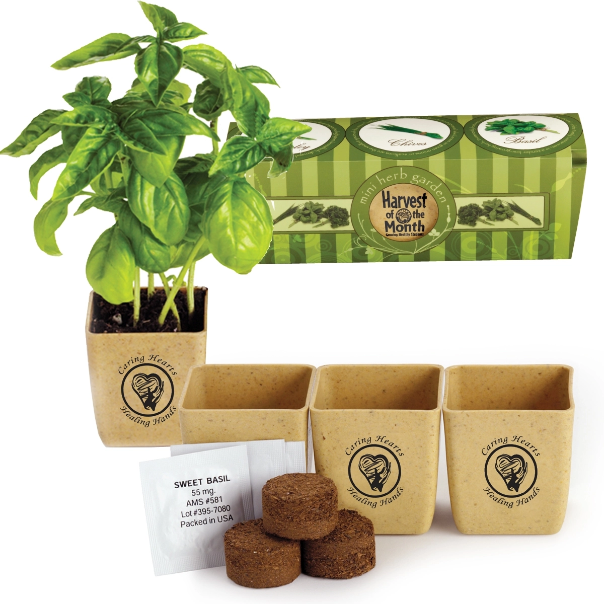 Custom Planter 3Pack Herb Set Promotional Seeds ePromos