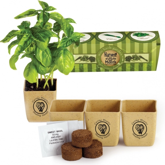 Custom Planter 3-Pack Herb Set