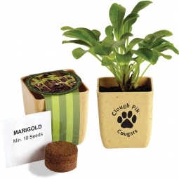 Marigold Custom Flower Pot Herb Set