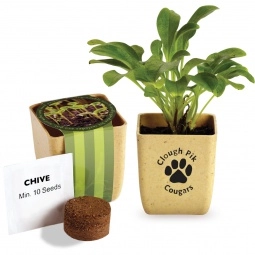 Chive Custom Flower Pot Herb Set