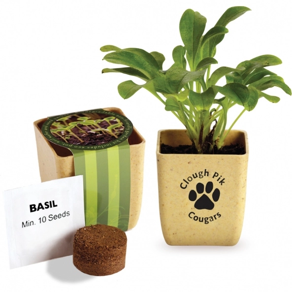 Basil Custom Flower Pot Herb Set