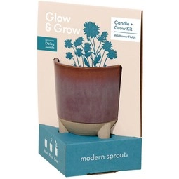 Box - Modern Sprout Glow & Grow Custom Gift Set