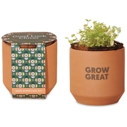 Modern Sprout Terracotta Custom Grow Kit - Good Luck Clover