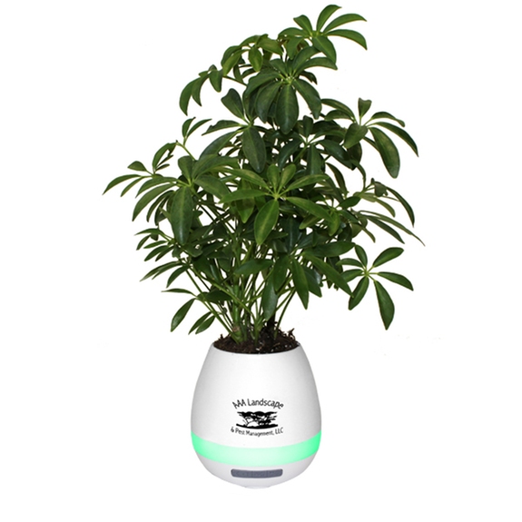 White - Promotional Musical Planter and Wireless Speaker Combo