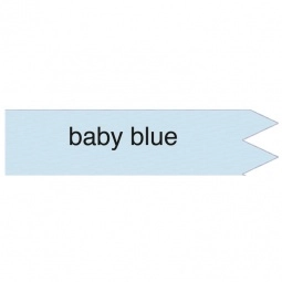 Baby Blue Custom Ribbon - Foil Stamped - 2"x 6"