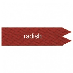 Radish Custom Ribbon - Foil Stamped - 2"x 6"