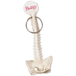 Spine & Pelvis Bone Shaped Custom Keychain