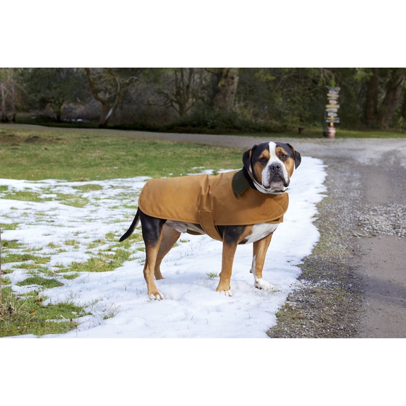 Lifestyle - Carhartt&#174; Custom Dog Chore Coat