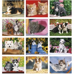 Puppies & Kitties - 13 Month Appointment Custom Calendar