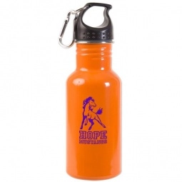 Stainless Steel Promotional Sports Bottle - 17 oz.